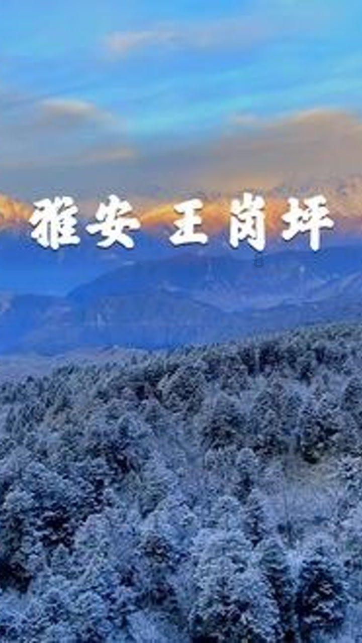 为什么现在的年轻人总是不愿意去谈恋爱？游戏画面