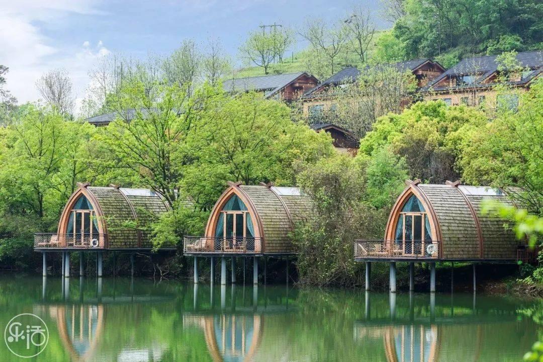 米乐米可森林大冒险
