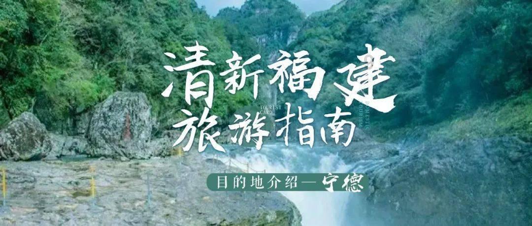 逃出猫头鹰屋