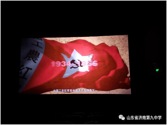 可爱小猫向上跳