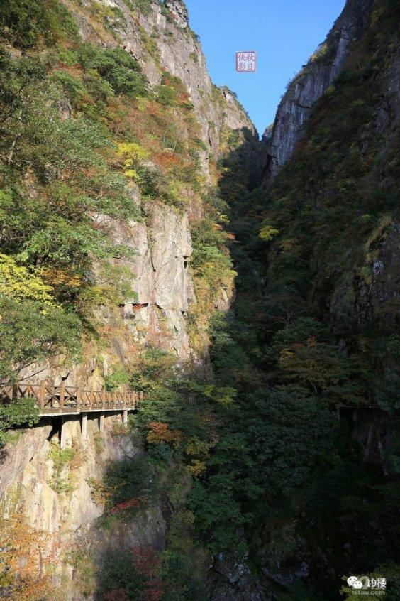 全民烧脑3去广告版
